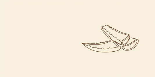 Line art - cut aloe leaf with a spoon of gel