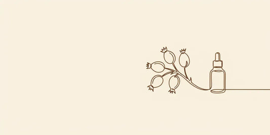Line art - rosehip branch beside dropper bottle