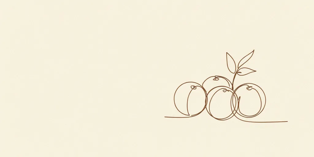 Line art - amla fruits with leaf sprig