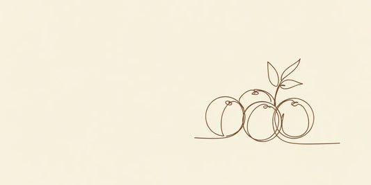 Line art - amla fruits with leaf sprig