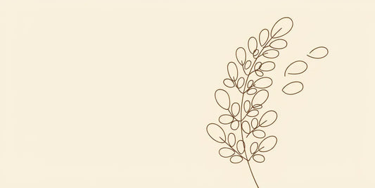 Line art - moringa stem with leaflets
