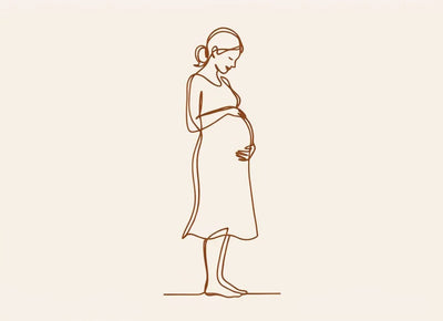 Line art guide to shopping Harmonaly by pregnancy and postpartum stage